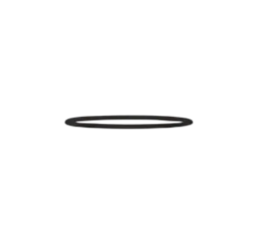 O Ring - Top Sub